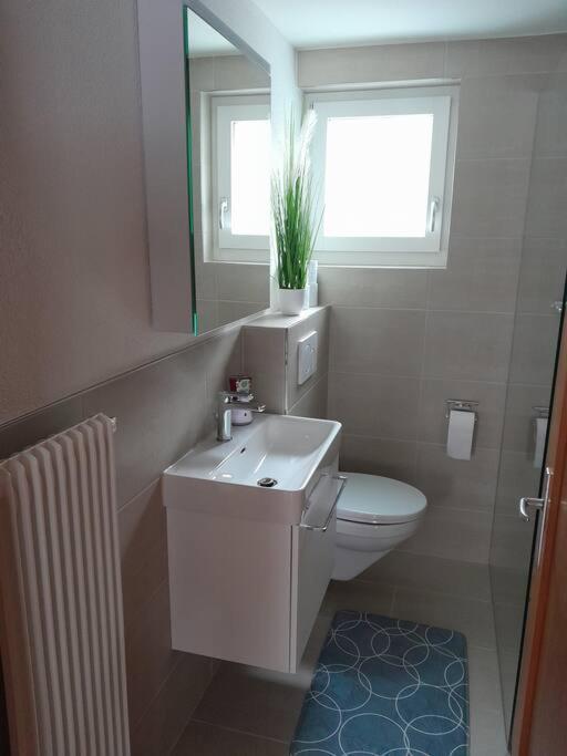 2 1/2 Zimmer Ferienwohnung マイリンゲン エクステリア 写真