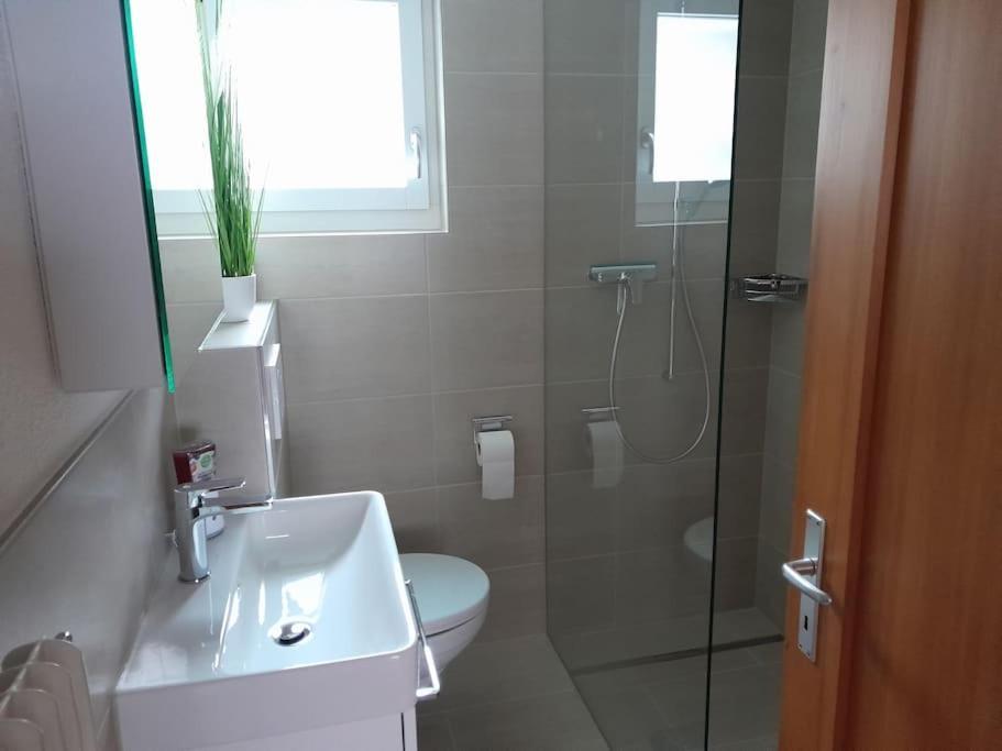 2 1/2 Zimmer Ferienwohnung マイリンゲン エクステリア 写真