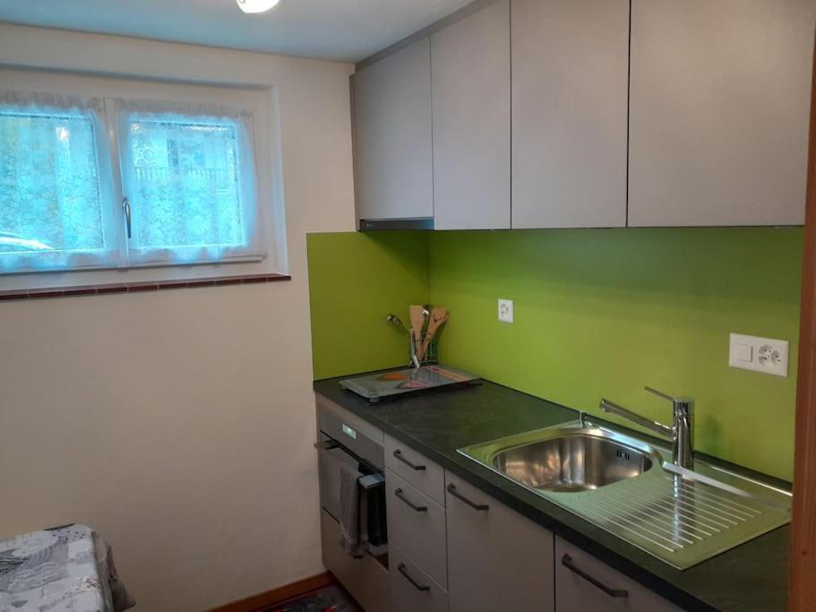 2 1/2 Zimmer Ferienwohnung マイリンゲン エクステリア 写真