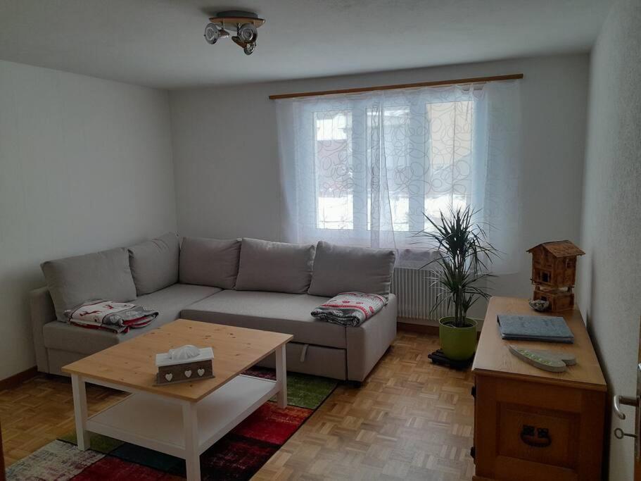 2 1/2 Zimmer Ferienwohnung マイリンゲン エクステリア 写真