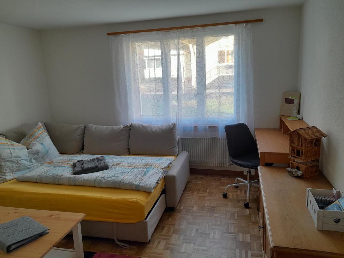 2 1/2 Zimmer Ferienwohnung マイリンゲン エクステリア 写真